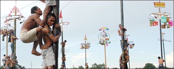 Sedikitnya ada 29 batang pinang yang disiapkan dalam lomba panjat pinang massal di Tenggarong, Jum'at (16/08) kemarin