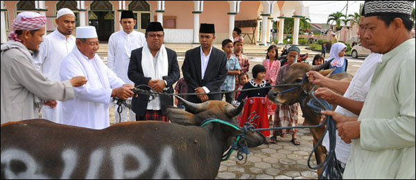 Asisten IV Setkab Kukar H Bahrul menyerahkan sapi kurban dari Bupati Kukar Rita Widyasari kepada panitia qurban Masjid KH Muhammad Sajid
