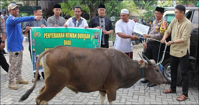 Perwakilan masjid, sekolah hingga pondok pesantren menerima bantuan sapi kurban yang disalurkan Polres Kukar