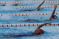 Para perenang Kaltim beradu kecepatan di kolam renang Puteri Junjung Buyah, Tenggarong, dalam Kejurda Renang 2012 Tingkat Kaltim 