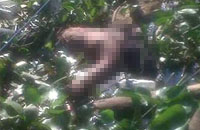 Sesosok mayat perempuan ditemukan mengambang di antara tanaman eceng gondok di tepi sungai Mahakam
