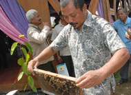 Kelompok tani budidaya lebah madu Seger Waras dari Kutai Kartanegara turut hadir di arena Expo Agrikultur Penas KTNA XIII