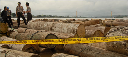 Puluhan ribu kayu log berhasil diamankan aparat Polres Kukar dari sejumlah TKP