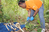 Petugas Polres Kukar mengumpulkan temuan kerangka manusia di desa Sumber Sari, Sebulu, sebelum dibawa ke RSUAWS Samarinda untuk divisium