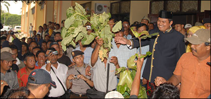 Pengunjukrasa menyerahkan 'tanaman ilegal' PT BDAM kepada Anggota DPRD Kukar Marwan