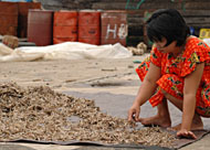 Produk rumah tangga masyarakat Kukar berupa ikan asin akan dipasarkan ke wilayah Jawa Timur