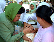 Ketua TP PKK Kukar Ny Ninuk Darmini (kiri) memberikan vaksin Polio kepada salah seorang bayi
