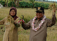 Wabup Samsuri Aspar bersama Camat Marang Kayu Yuni Astuti saat melakukan panen raya di Desa Semangko