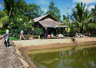 Pelatihan dilaksanakan di kawasan tambak yang ada di Pulau Jawa, Kelurahan Muara Jawa Ulu