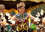 Kampong Wisata 2006 juga akan disemarakkan dengan Karnaval Budaya yang diikuti berbagai kelompok paguyuban etnis di Kukar